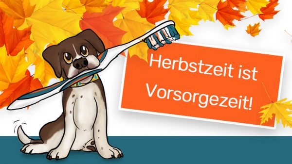 Zahn im Herbst Aktion WordPress