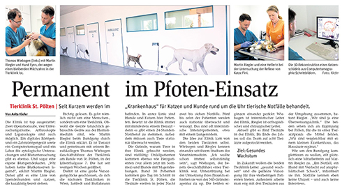 NÖN-Artikel