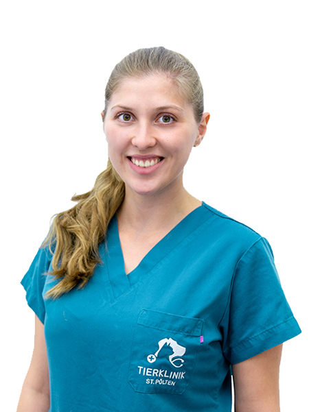 Nicole-Klausner WP